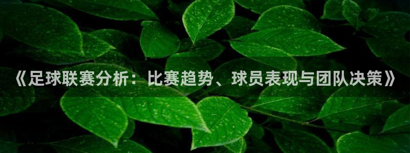 《足球联赛分析：比赛趋势、球员表现与团队决策》