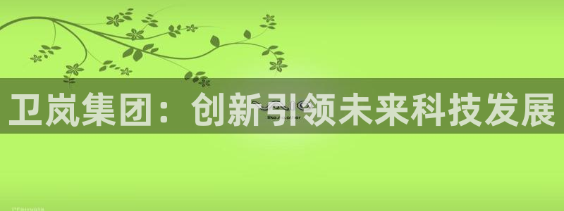 卫岚集团：创新引领未来科技发展
