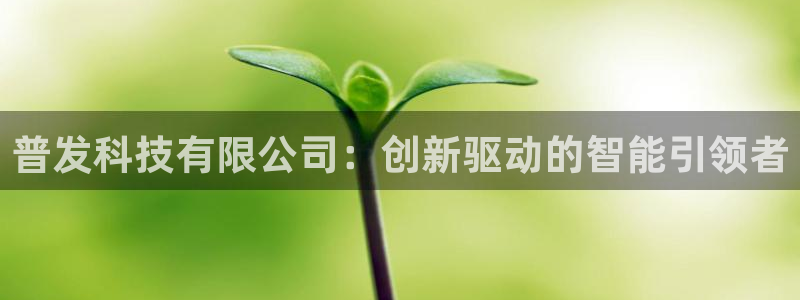 普发科技有限公司：创新驱动的智能引领者