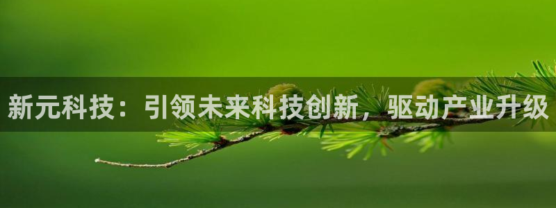 新元科技：引领未来科技创新，驱动产业升级