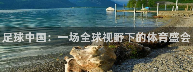 足球中国：一场全球视野下的体育盛会